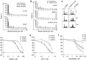 Home Reversion Plans 25 Inspirational What is A Home Reversion Plan Meow Inc org