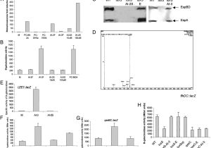 Home Reversion Plans Explained Home Reversion Ireland Archives Home Plan Home Plan