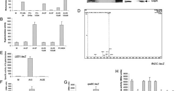 Home Reversion Plans Explained Home Reversion Ireland Archives Home Plan Home Plan