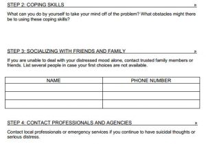 Home Safety Plan Template Safety Plan Template Cyberuse