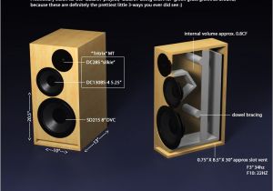 Home Subwoofer Box Plans Small 3 Way Techtalk Speaker Building Audio Video