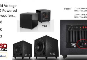 Home theater Subwoofer Plan Ps88 Home theater Subwoofer Dual Woofer Compact Design
