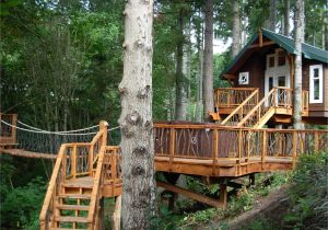 Home Tree House Plans 18 Amazing Tree House Designs Mostbeautifulthings Home Tree House Plans 18 Amazing Tree House Designs Mostbeautifulthings