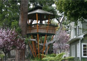 Home Tree House Plans 18 Amazing Tree House Designs Mostbeautifulthings Home Tree House Plans 18 Amazing Tree House Designs Mostbeautifulthings