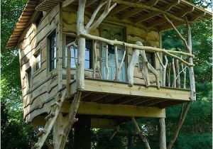 Home Tree House Plans 37 Diy Tree House Plans that Dreamers Can Actually Build