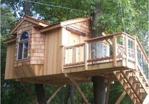 Home Tree House Plans Custom Tree House Design Tree House Plans Home Tree House Plans Custom Tree House Design Tree House Plans