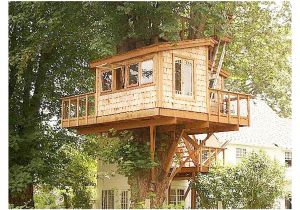 Home Tree House Plans Plans for A Tree House Luxury Brilliant Tree House