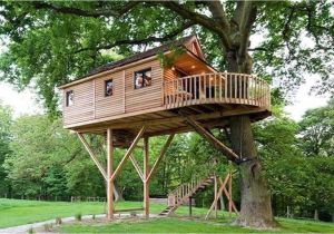 Home Tree House Plans Treehouse Architecture top 16 Tree House Ideas that Home Tree House Plans Treehouse Architecture top 16 Tree House Ideas that