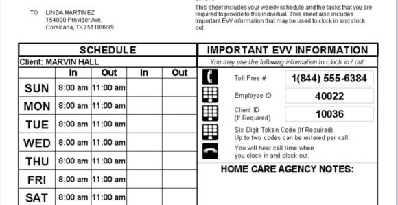 Home Visit Plan Employee Visit Plan Template Vesta Evv