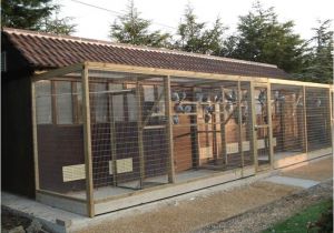 Homing Pigeon Loft Plans 143 Best Pigeon Lofts Images On Pinterest Homing Pigeons