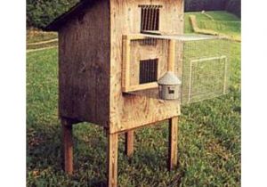 Homing Pigeon Loft Plans 15 Best Pigeon Lofts Images On Pinterest Homing Pigeons