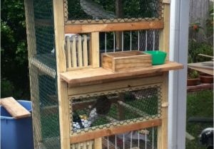 Homing Pigeon Loft Plans 25 Best Ideas About Pigeon Cage On Pinterest Macaw Cage