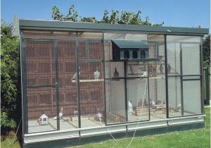 Homing Pigeon Loft Plans 300 Best Pigeon Lofts and Bird Cages Images On Pinterest