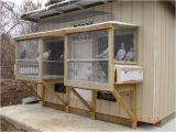 Homing Pigeon Loft Plans 69 Best Images About Pigeon Lofts On Pinterest Cover Ups