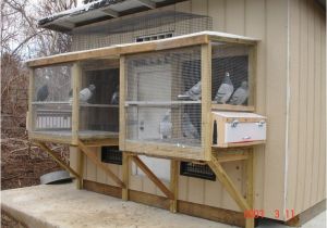 Homing Pigeon Loft Plans 69 Best Images About Pigeon Lofts On Pinterest Cover Ups