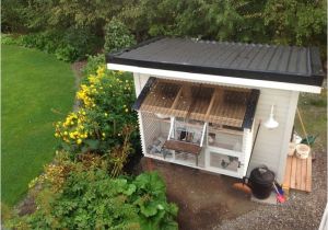 Homing Pigeon Loft Plans Best 25 Pigeon Loft Ideas On Pinterest Racing Pigeon