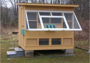 Homing Pigeon Loft Plans Best 25 Pigeon Loft Ideas On Pinterest Racing Pigeon