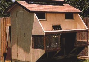 Homing Pigeon Loft Plans Pics for Gt Homing Pigeon Loft