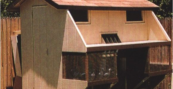 Homing Pigeon Loft Plans Pics for Gt Homing Pigeon Loft