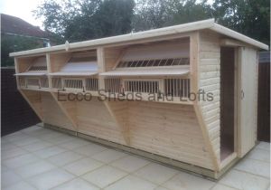 Homing Pigeon Loft Plans Racing Pigeon Loft Floor Plans