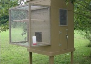 Homing Pigeon Loft Plans Small Pigeon Loft Design Ideas Pigeon Coop Hobby