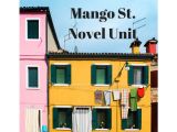 House On Mango Street Unit Plan Best 25 the House On Mango Street Ideas On Pinterest