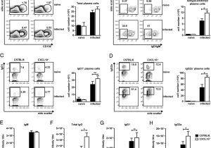 House Plans Under 150k Floor Plans 150k 28 Images Prefab Homes Plans New House Plans Under 150k Floor Plans 150k 28 Images Prefab Homes Plans New