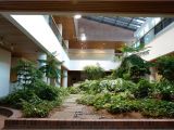 House Plans with Indoor Garden Indoor Garden Ideas 6009