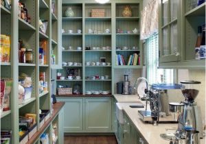 House Plans with Large Kitchens and Pantry 10 Kitchen Pantry Design Ideas Eatwell101