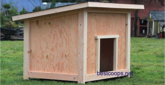 Huge Dog House Plans Large Dog House Plan 2 9 99 Picclick