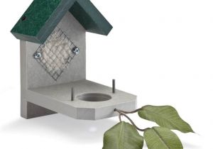 Hummingbird House Plans Free Duncraft Com Duncraft Hummingbird House Nester