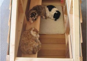 Insulated Cat House Plans Outdoor Cat Houses Insulated Outdoor Pet House with