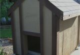Insulated Dog House Plans for Large Dogs Free Insulated Dog House Plans for Large Dogs Free