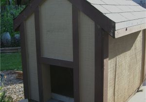 Insulated Dog House Plans for Large Dogs Free Insulated Dog House Plans for Large Dogs Free
