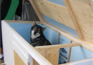 Insulated Dog House Plans for Large Dogs Free Insulated Dog House Plans for Large Dogs Free Unique Dog