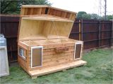 Insulated Heated Dog House Plans Insulated Dog House Plans for Large Dogs Free Lovely Dog