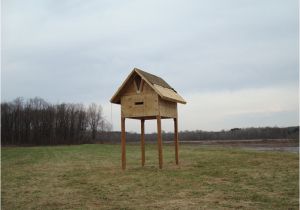 Large Bat House Plans Bat House Plans for Florida Find House Plans