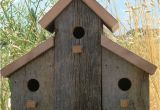 Large Bird House Plans Barn Birdhouse Pictures Joy Studio Design Gallery Best