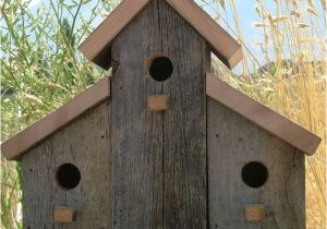 Large Bird House Plans Barn Birdhouse Pictures Joy Studio Design Gallery Best