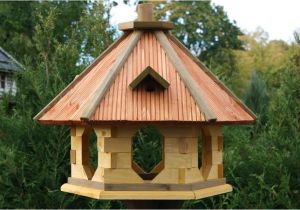 Large Bird House Plans Big Bird Feeders Plans Cleaner Ideas