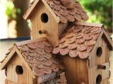 Large Bird House Plans Craftionary