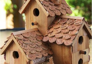 Large Bird House Plans Craftionary