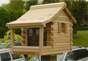 Large Bird House Plans Large Bird House Plans Log Awesome House Tips to Build