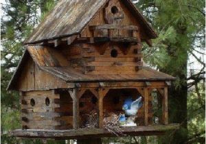 Large Bird House Plans Large Bird Houses Woodworking Projects Plans