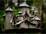 Large Bird House Plans Large Decorative Bird House Plans Plans Diy How to Make