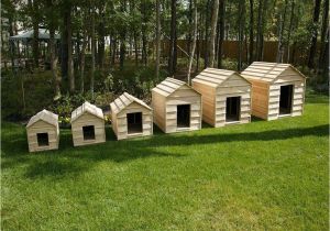 Large Breed Dog House Plans Dog House Plans for Extra Large Dogs