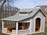 Large Dog House Plans with Porch Hundehaus Die Skurrilsten Beispiele Die Es Gibt