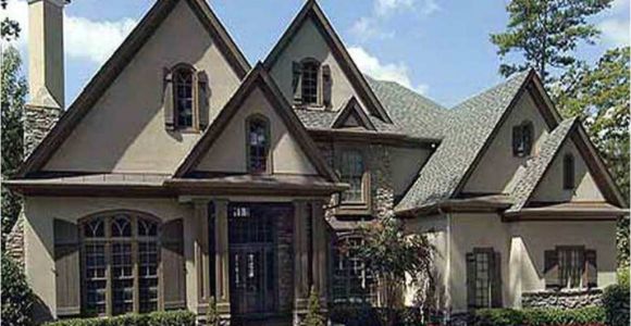 Large French Country House Plans Best One Story French Country House Plans for Classic