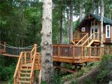 Large Tree House Plans 18 Amazing Tree House Designs Mostbeautifulthings