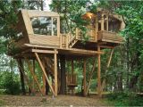 Large Tree House Plans Almke Treehouse by Baumraum Provides Gathering Place for